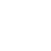 Elidriel Logo
